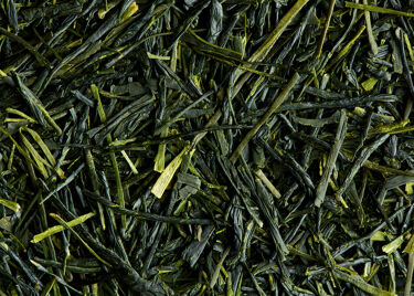 Thé du Japon - Shincha Okumidori 2024 - boîte de 50g