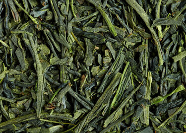 Tea from Japan - Sencha Kochi Sayamakaori