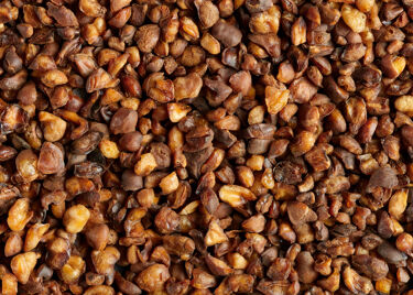 Tea from Japan - Sobacha