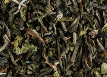 Thé d'Inde - Darjeeling 1st flush Rohini Moonlight 2025
