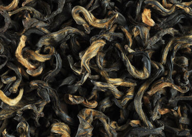 Tea from Nepal - Oolong Simpani