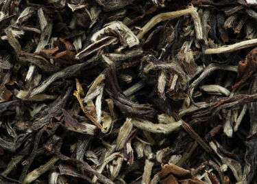 Tè dell'India - Darjeeling 1st flush SINGBULLI 2025 Grand Cru