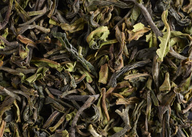 Thé d’Inde – Darjeeling 1st flush Phuguri FTGFOP 2026