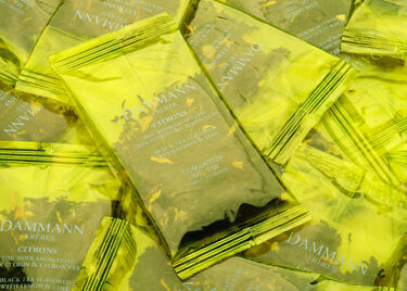 CITRONS, box of 6 sachets for iced tea infusion