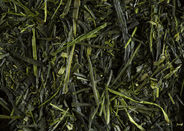 Tea from Japan – Kabuse Fukamushi Yabukita Chato