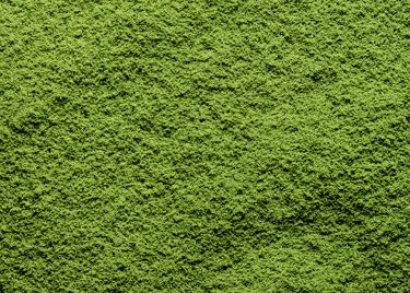 Thé du Japon  - Matcha Minami Yamashiro Supreme – boîte 20g
