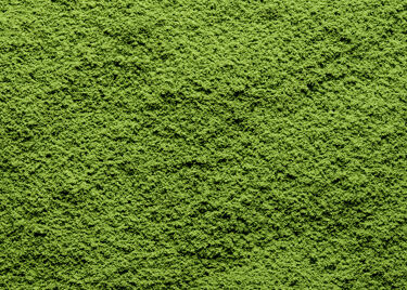 Thé du Japon  - Matcha Kyoken 283 - boîte 20g
