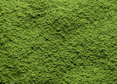 Tè giapponese - Matcha Minami Yamashiro - scatola 20g