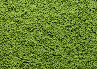 Tea from Japan - Uji Matcha - box 20g