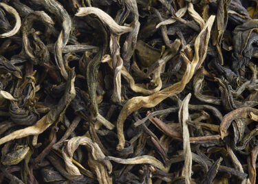 White tea - BLANC MYRTILLE