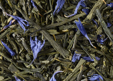 GREEN TEA - FUKUYU MYRTILLE