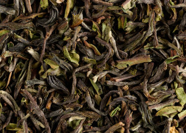 Tea from India – 1st flush Jungpana 2026