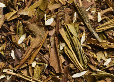 Thé du Japon - Houjicha