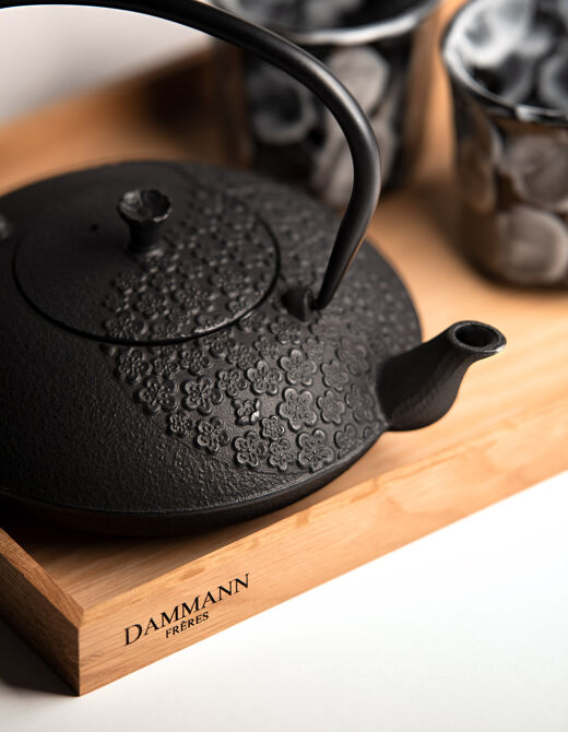 Dammann Frères black tea bags travel holder