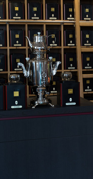 DAMMANN Frères Saint-Germain-en-Laye